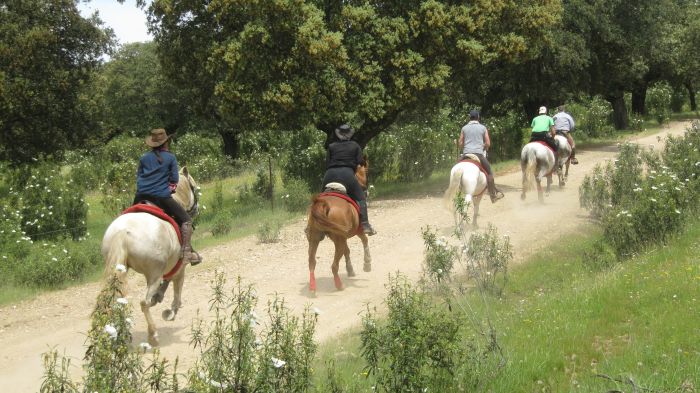 Monfragüe Nationalpark-Ritt