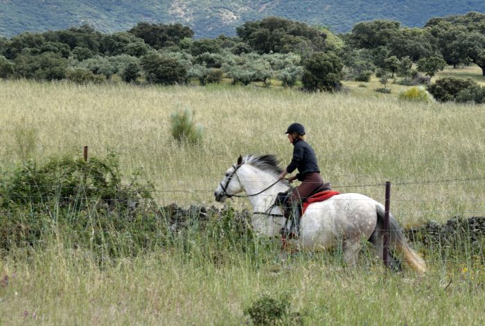 Monfragüe Nationalpark-Ritt