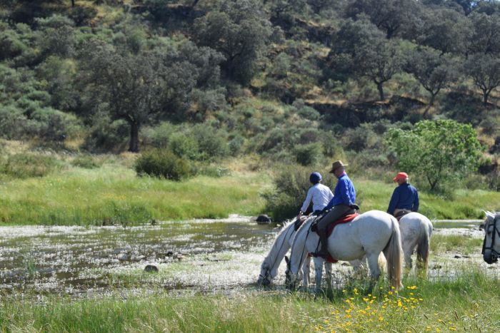 Monfragüe Nationalpark-Ritt