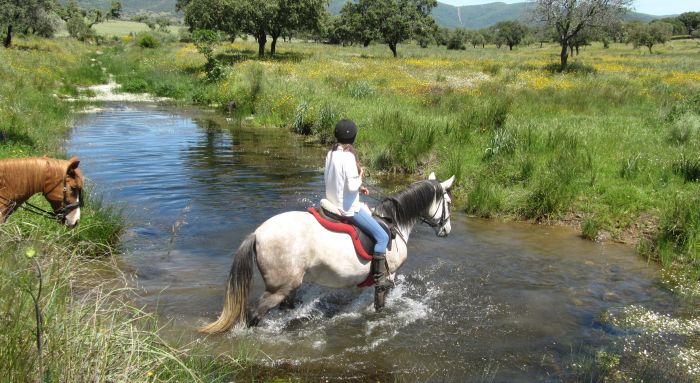 Monfragüe Nationalpark-Ritt