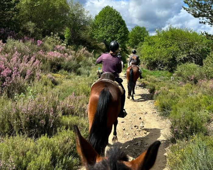 Camino de Santiago - Wanderritt auf dem Jakobsweg