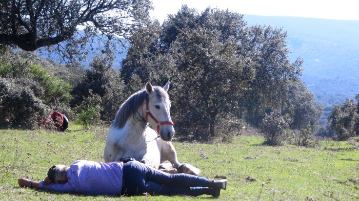 Extremadura Hirten Trail