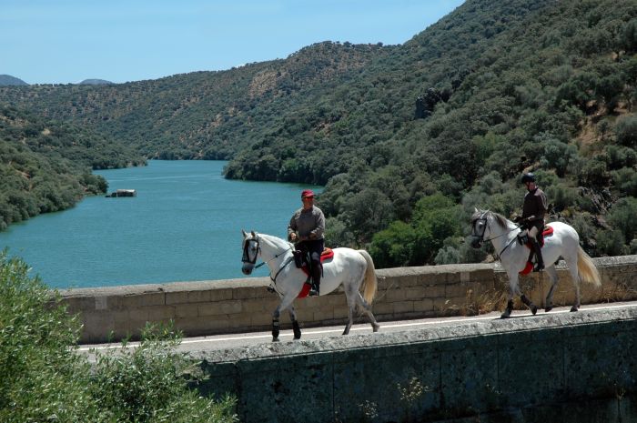 Extremadura Hirten Trail