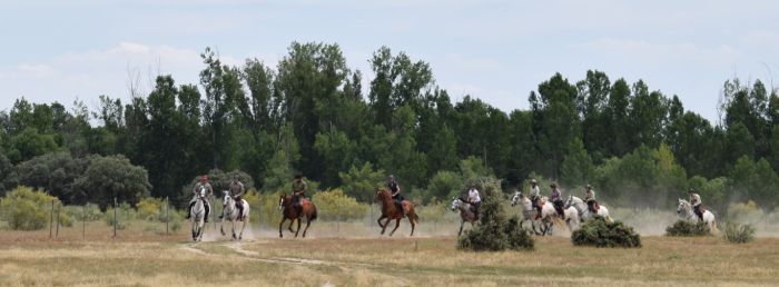 Extremadura Hirten Trail