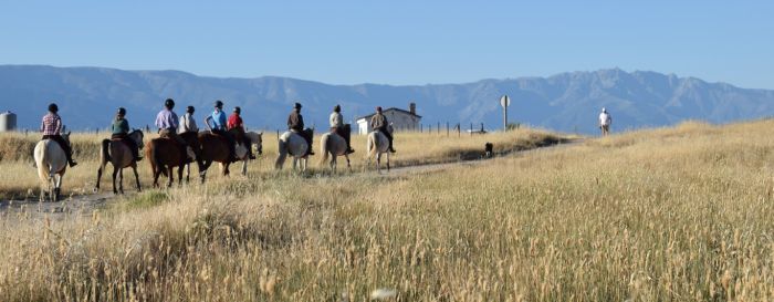 Extremadura Hirten Trail