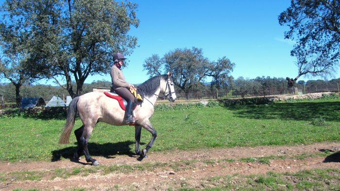 Extremadura Hirten Trail