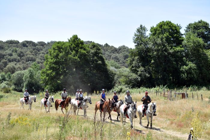 Extremadura Hirten Trail