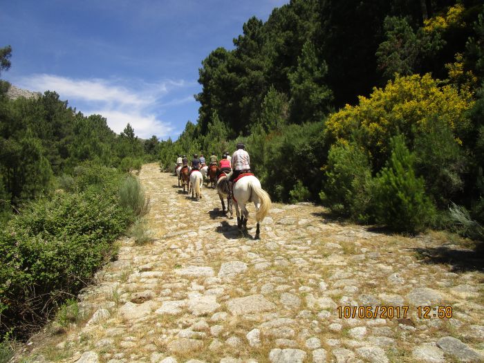 Extremadura Hirten Trail