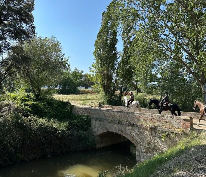 Ruta del Vino