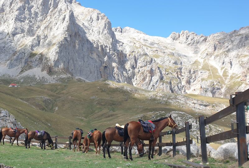 Cider Trail durch Asturien