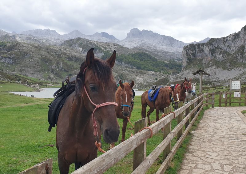 Cider Trail durch Asturien