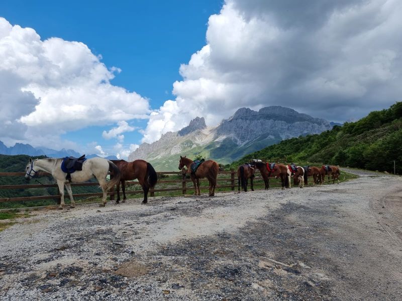 Cider Trail durch Asturien