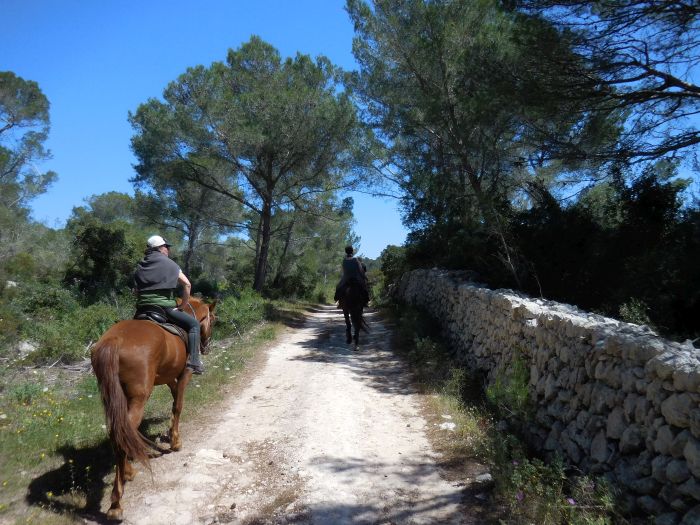 Menorca mit Komfort