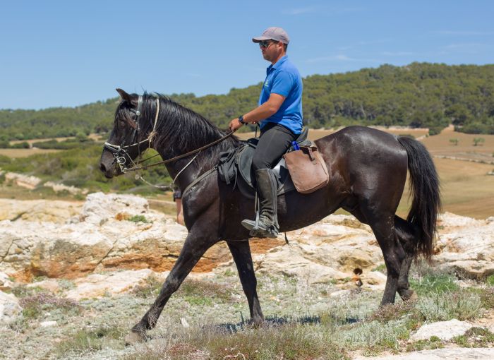 Menorca mit Komfort