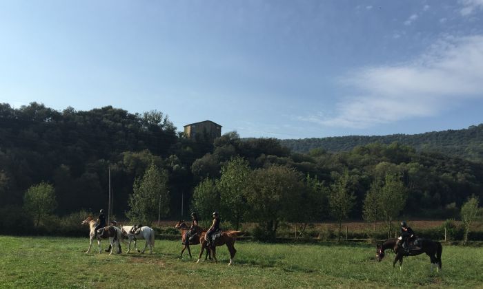 Von den Bergen ans Meer & Besalu Mittelalter Ritt