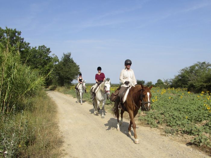 Von den Bergen ans Meer & Besalu Mittelalter Ritt