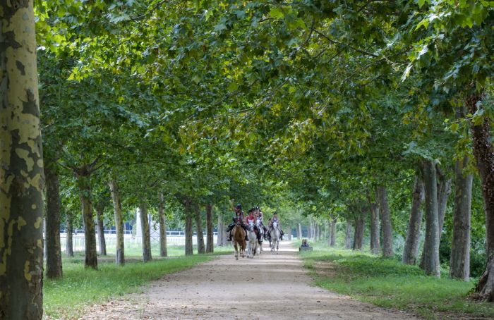 Katalonien im Galopp