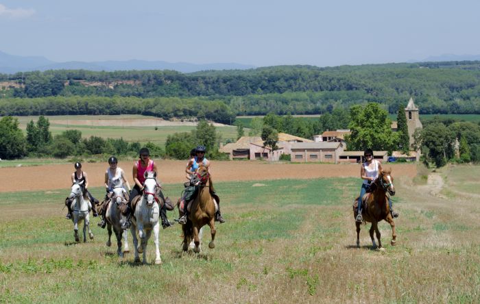 Katalonien im Galopp