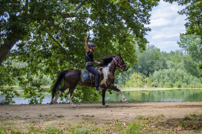 Katalonien im Galopp