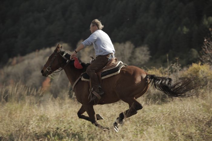 Katalonien im Galopp