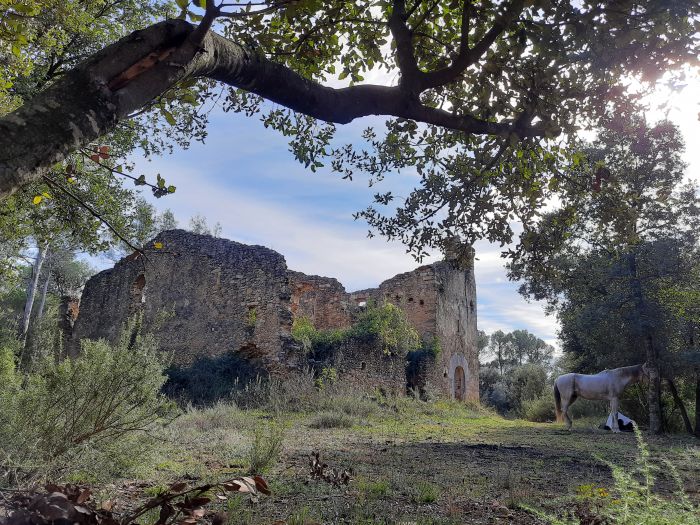 Costa Brava-Trail