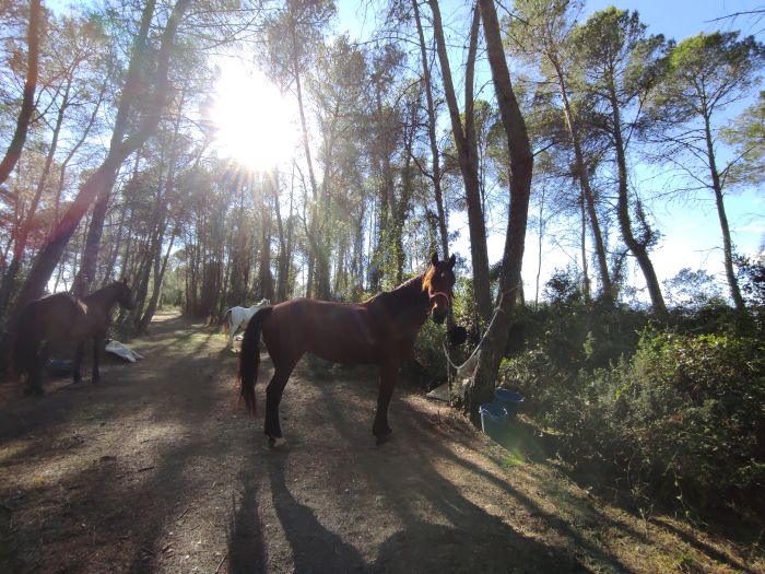 Costa Brava-Trail